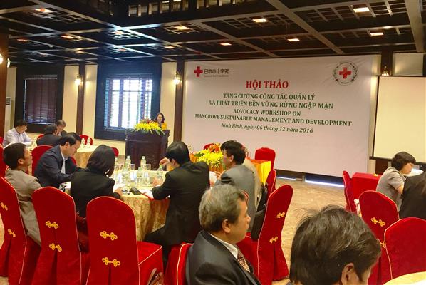 เวียดนามพัฒนาป่าชายเลนอย่างยั่งยืน